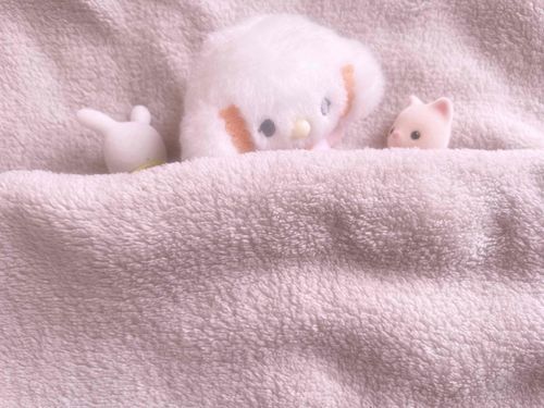 おしゃべりたのしいみゅん

うさばにあちゃんは、
ねちゃったみゅん……୨୧⑅*
