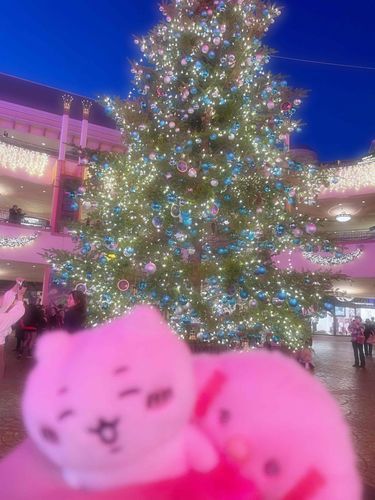 ちいかわちゃんとクリスマスみゅん！🎅🏻🎀

