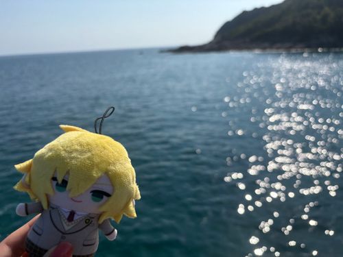 コウ、海だよ