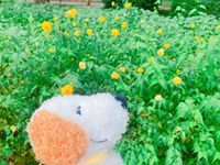 わーん