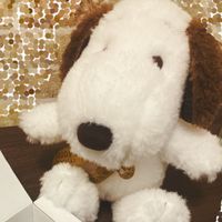 アンディショコラ