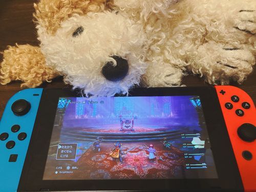 ゲームは無になれるから好き