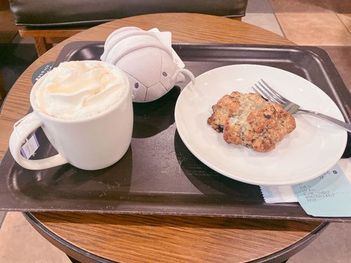 ダイオウグソクムシのおぬいが出来たと聞いたので、自分への誕生日プレゼントに、、、(,,- -,,)