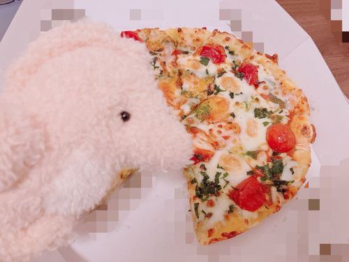 お店に500円で並んでたタツノオトシゴの赤ちゃん
色が同化しちゃってる
