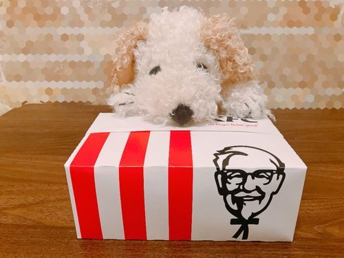 久々のケンタッキー🍗‪꙳