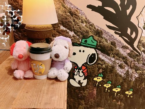 幸せでわくわくで現実に戻りたくないですね｡ﾟ(ﾟ ˆ o ˆ ﾟ)ﾟ｡