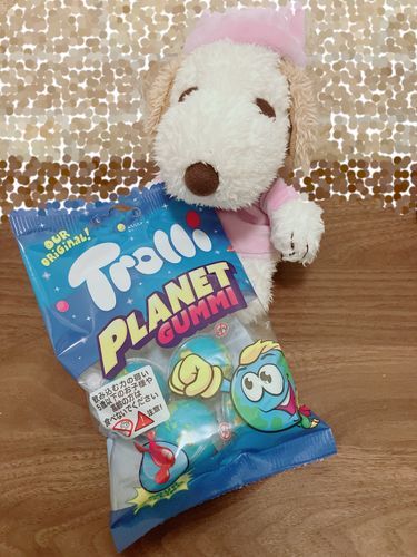 生きてるうちに地球グミが食べれるとは思わなかった🌍