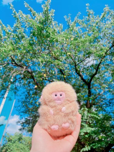 美しい自然も、ふわふわおさるも、全てが尊い