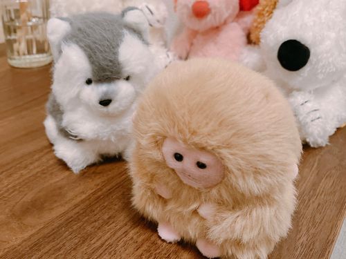 ハスキー｢どしたん？話聞こか？｣