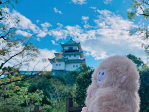 明日登ろうね