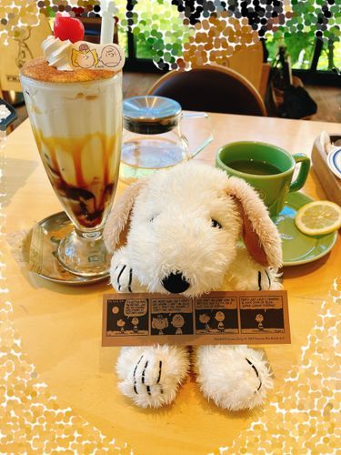 優しい味のプディング🍮