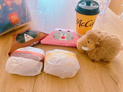 高くていつも躊躇うデリバリーも、足を怪我したら何の躊躇いもなく注文してもうた( ´•ᴗ•ก )