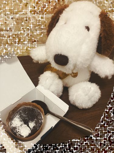 チョコレートアンディをお迎えしたので、デザートのフォンダンショコラを一緒に🍫
