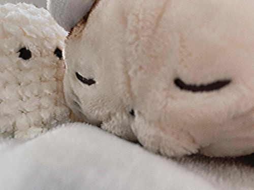 ねてる いのちはまだ おきてる