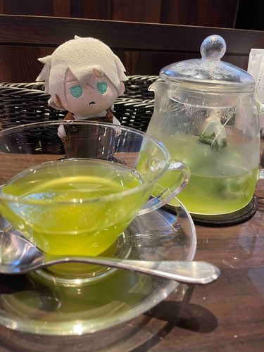暑くて死にそー
冷たい緑茶、見た目も涼しいね
あぁー緑茶の香りー🍵🫖

#かふぇなぎ 