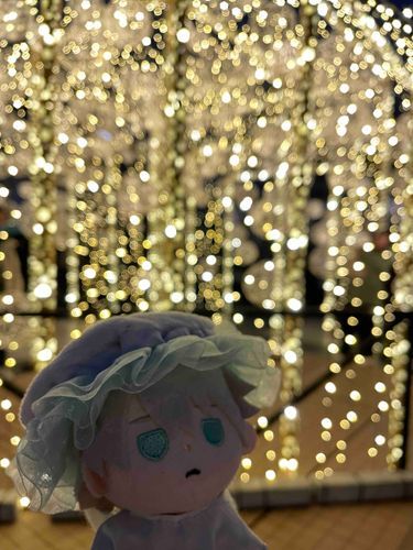 きらきらだね〜