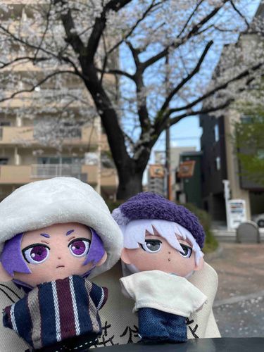 玲「今年も花見、間に合ったな！」
凪「あったかー、寝そう〜(_ _).｡o○」
