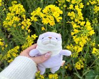 ぱぷ