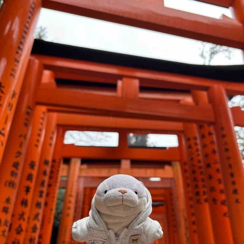 ふしみいなりたいしゃ！
とりいたくさん たのしかった！