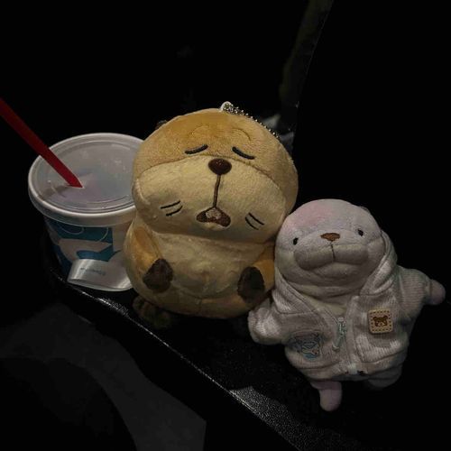 私がビーバーになる時 って えいが みてきた
かいぬし めちゃ ないてた
とっても おもしろかった！ともだち ふえたよ