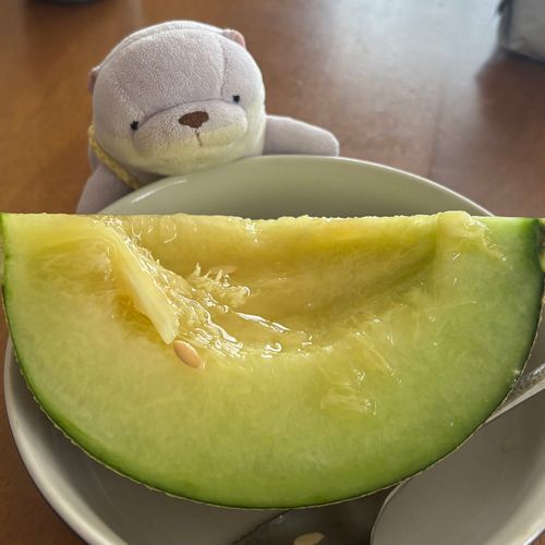 めろん でか！