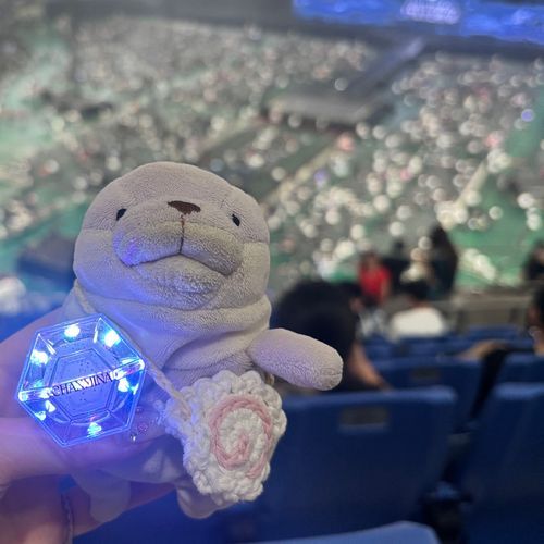らいぶ いったよ！とっても カッコよかった！
これは ぱぷようの きらきら！