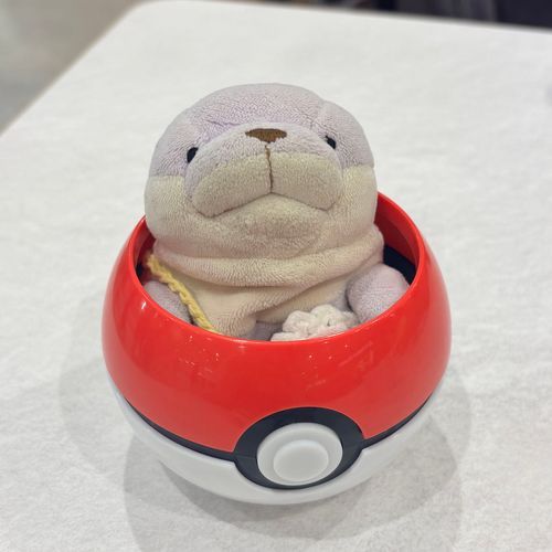 かいぬしが すまほ かしてくれなくて
ぜんぜん のせれなかった！！
ぱぷは ポケモンに なりました 