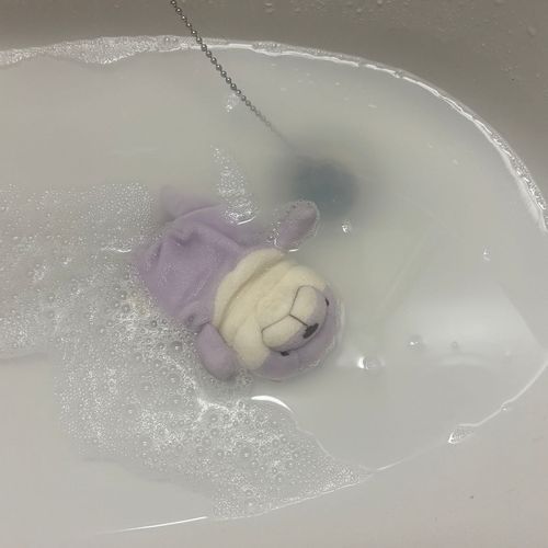 ひさびさの 洗われ......
おゆ きたないの ぱぷの よごれ.....？