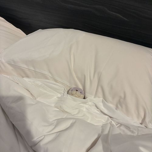 ホテルの 大きいベッドって いいよね