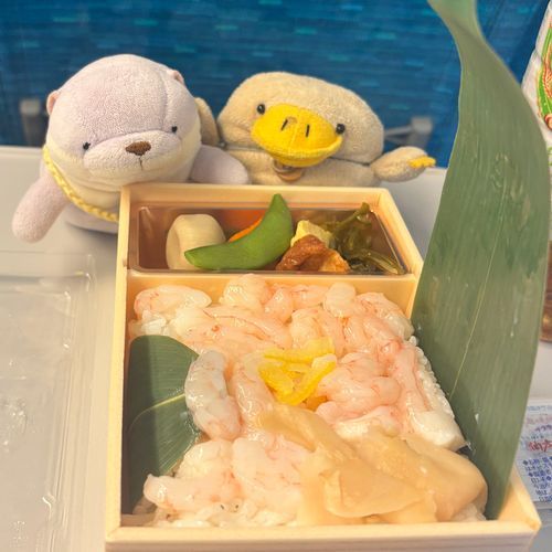 かいぬし さいきん あまえび に ハマってるんだって〜、ぱぷにも くれるよね？はしもとさんにも！！