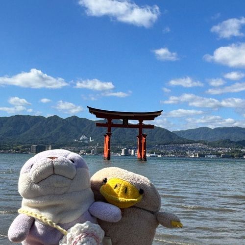 ぱぷ in ひろしま！！！
いろんなとこいって おいしいのたべて たのしかった！ かいぬしも たのしそうで ぱぷのこと 出すの わすれてばっかり💢