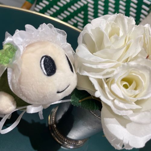 綺麗なお花！