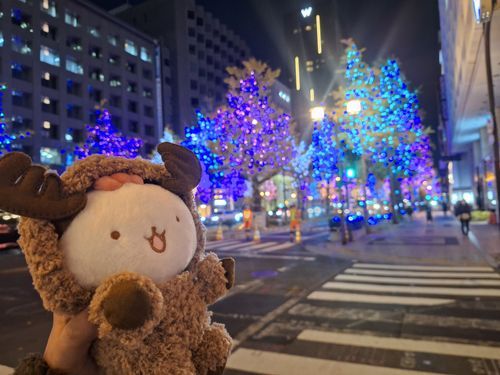 大阪にて。夜景とぱわるぅ。