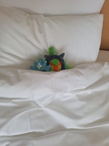 ぽんちゃん。