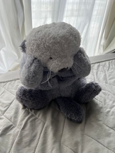 新入りのらっこさん🦦
おててがあたまにくっついてるから
ずっと悩んでる