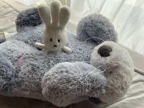 ここをキャンプ地とする！