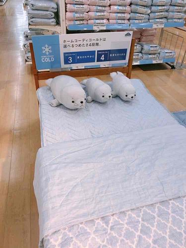 海に行きたいよ🌊？