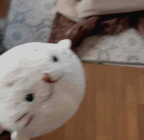 よっ久しいな