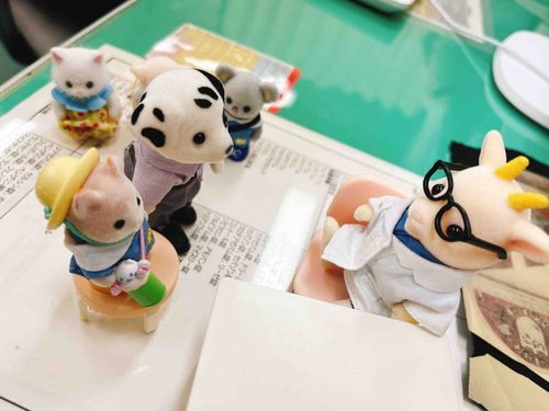 びょういんの
せんせい　みてもらった！