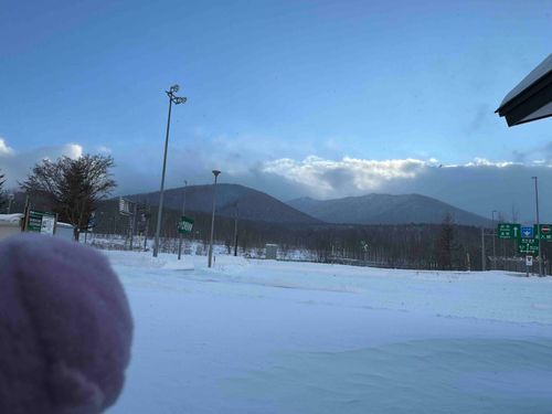 12月
朝ごはんを張り切りすぎてこの後お腹をこわし、グロッキーで帰りの写真は全くないのでした…ごめんよマシュ…
