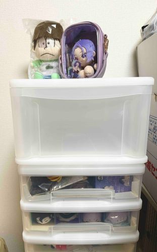 引越しを機に、ぬいマンションにもペントハウスを増築しました。
これでこれまでサイズ制限で入居できなかったぬいたちにお家ができます。