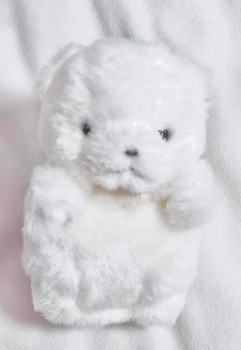 ニンゲンが変に撫でるせいでけなげのもふもふがちょっとケバケバ。なんでそういうことするの