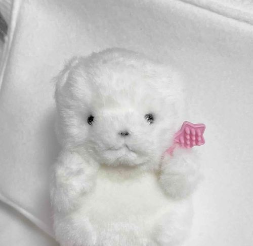 今毛づくろいしてるのでやめてください。