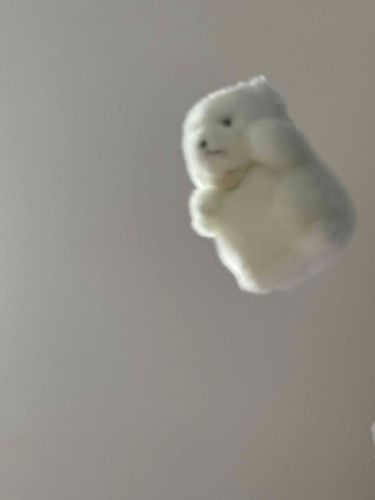 しばらくニンゲンとはくちききません、おこりました！