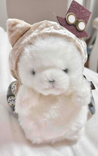あのねニンゲン、寒く無いようにお洋服くれたのは嬉しいけどけなげは猫じゃないよ。あと閉めれてないからさむいよ。