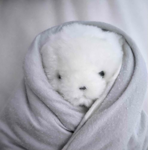 あたたか。