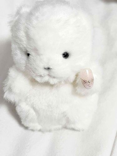 けなげもニンゲンみたいに爪きらきらしたかったのでつけました。けなげかわいい？