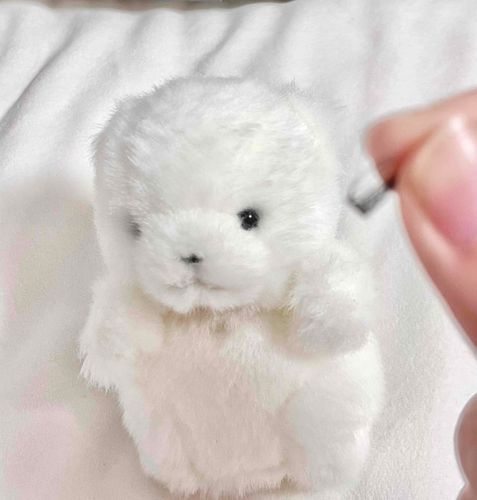 ニンゲンにまつげをうばわれました！かえして。