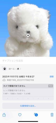 けなげいぬじゃないです！！いぬじゃない！