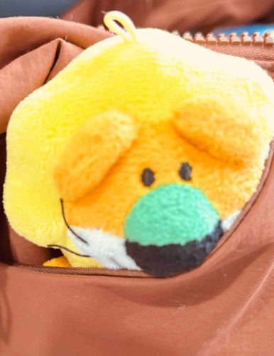 ご主人のカバンの中😳
最近おしごとでも一緒
休憩中になでてくれるよ